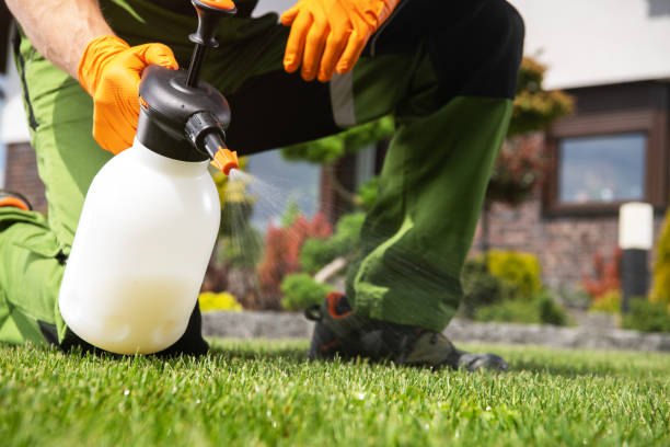 Best Commercial Pest Control Services  in Canby, MN